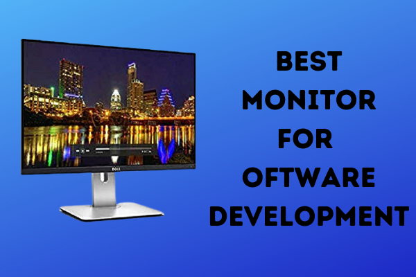 Best Monitor for Software Development