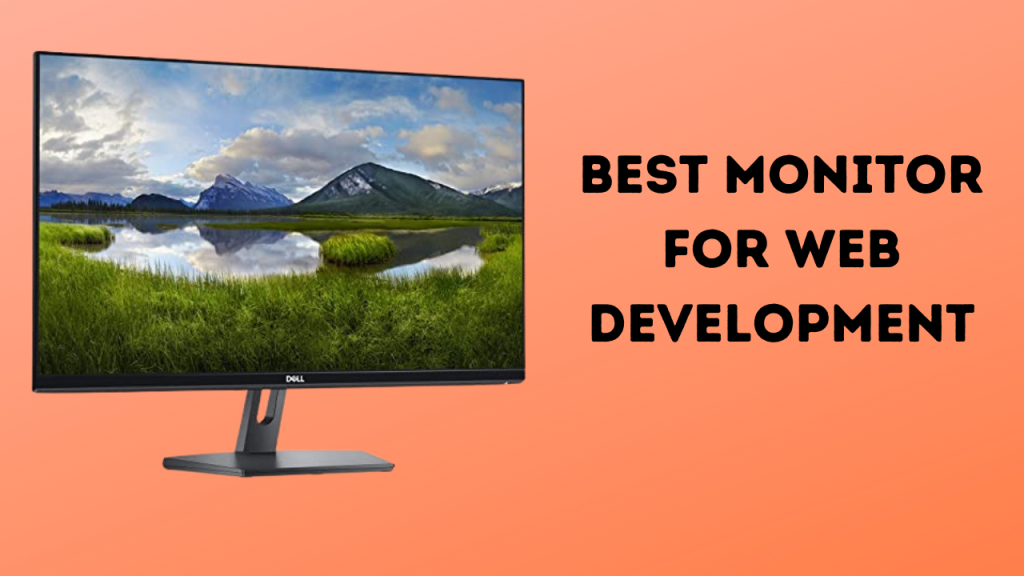 Best Monitor for Web Development