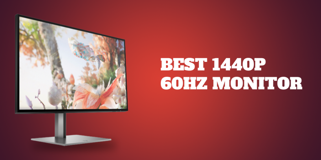 7 Best 1440p 60Hz Monitor in 2022 [Reviews & Buyer’s Guide]