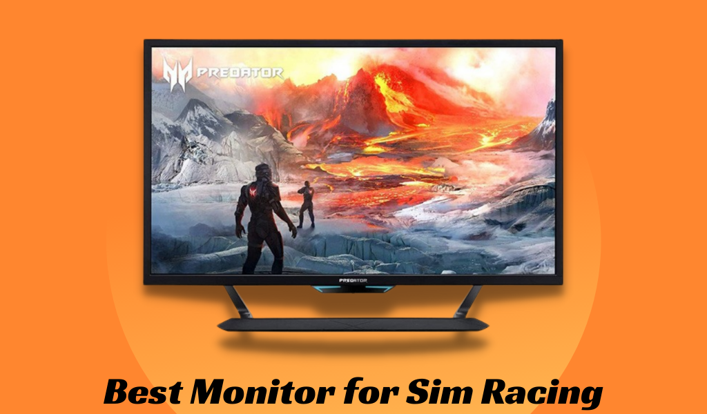 Best Monitor for Sim Racing
