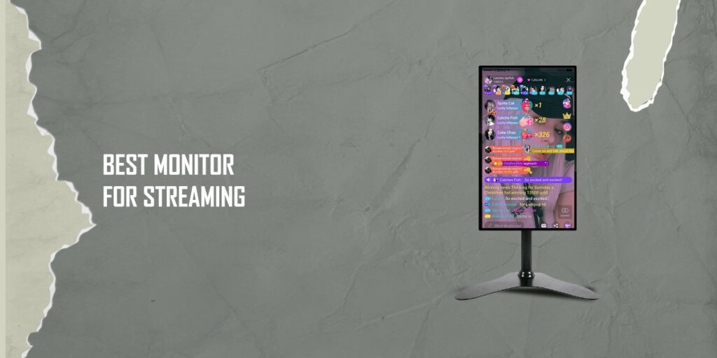 Best Monitor for Streaming