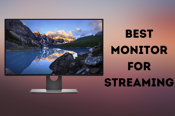 Best-Monitor-for-Streaming