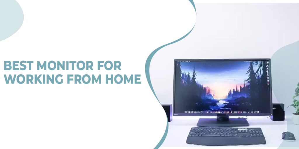 7 Best Monitor for Working From Home in 2022