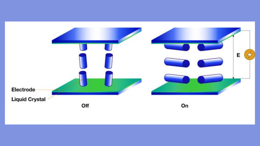 Vertical Alignment (VA)