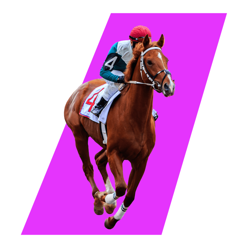 get-the-best-horse-racing-betting-experience-with-racebets-india